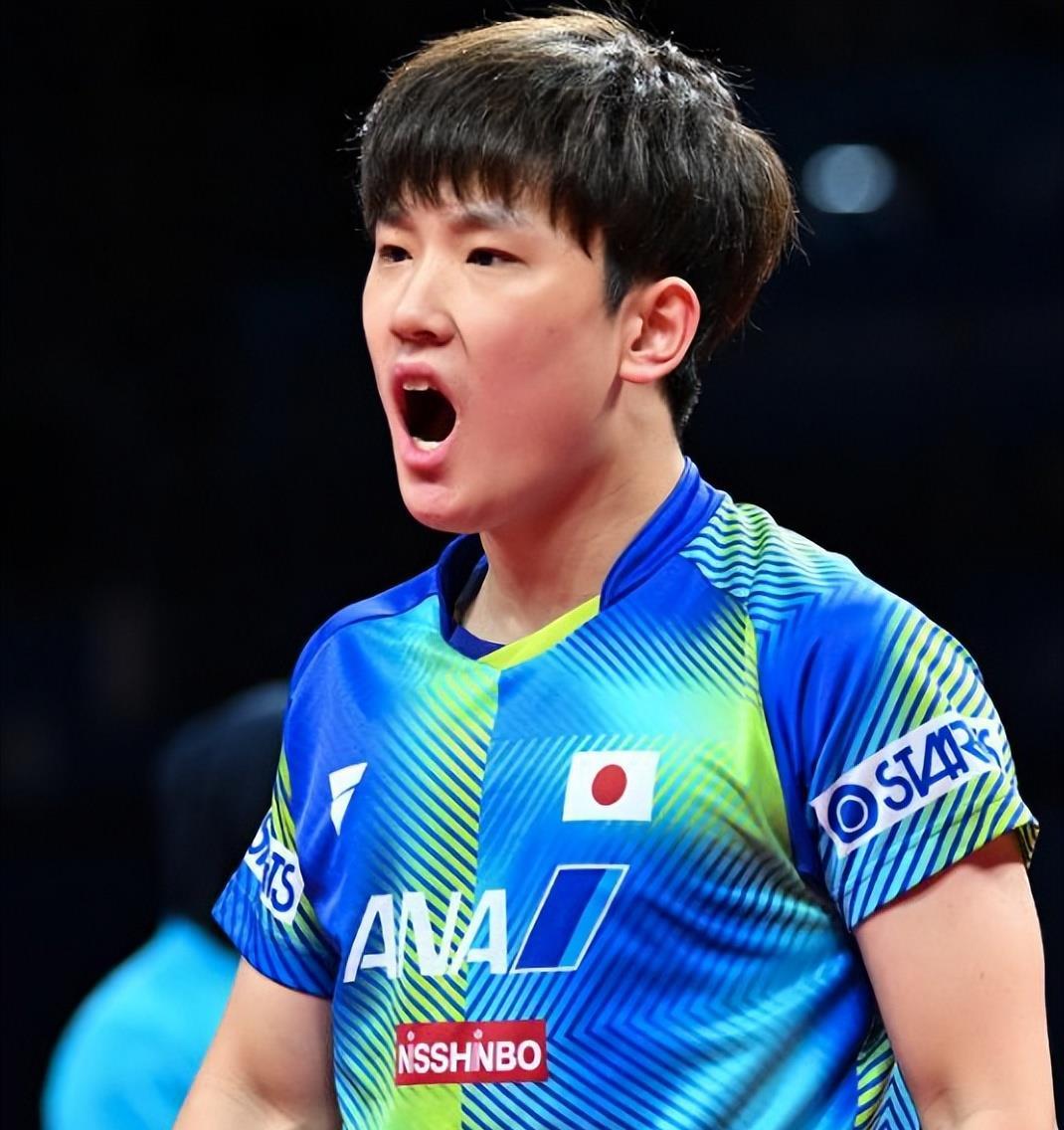 韩国队绝杀法国队，张本智和状态火热