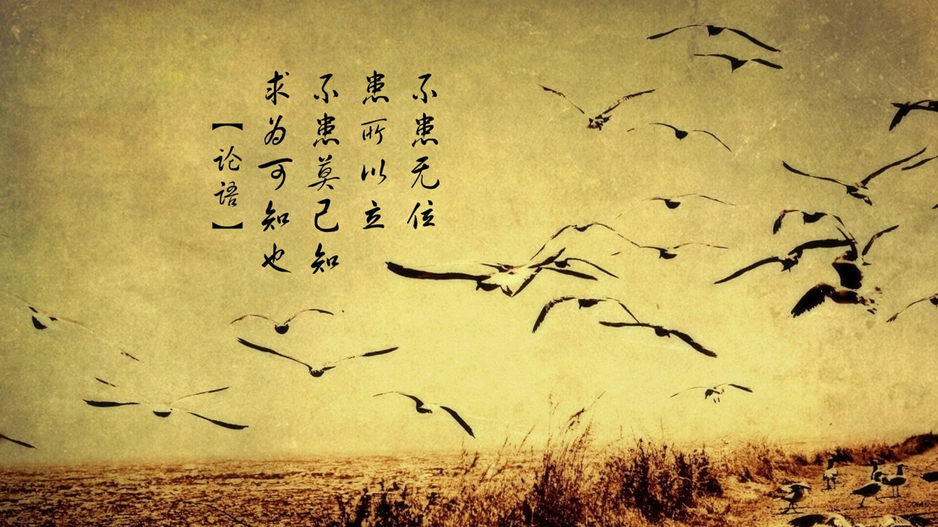 奥运周期关键战之夜,欧文压制级发挥改写历史