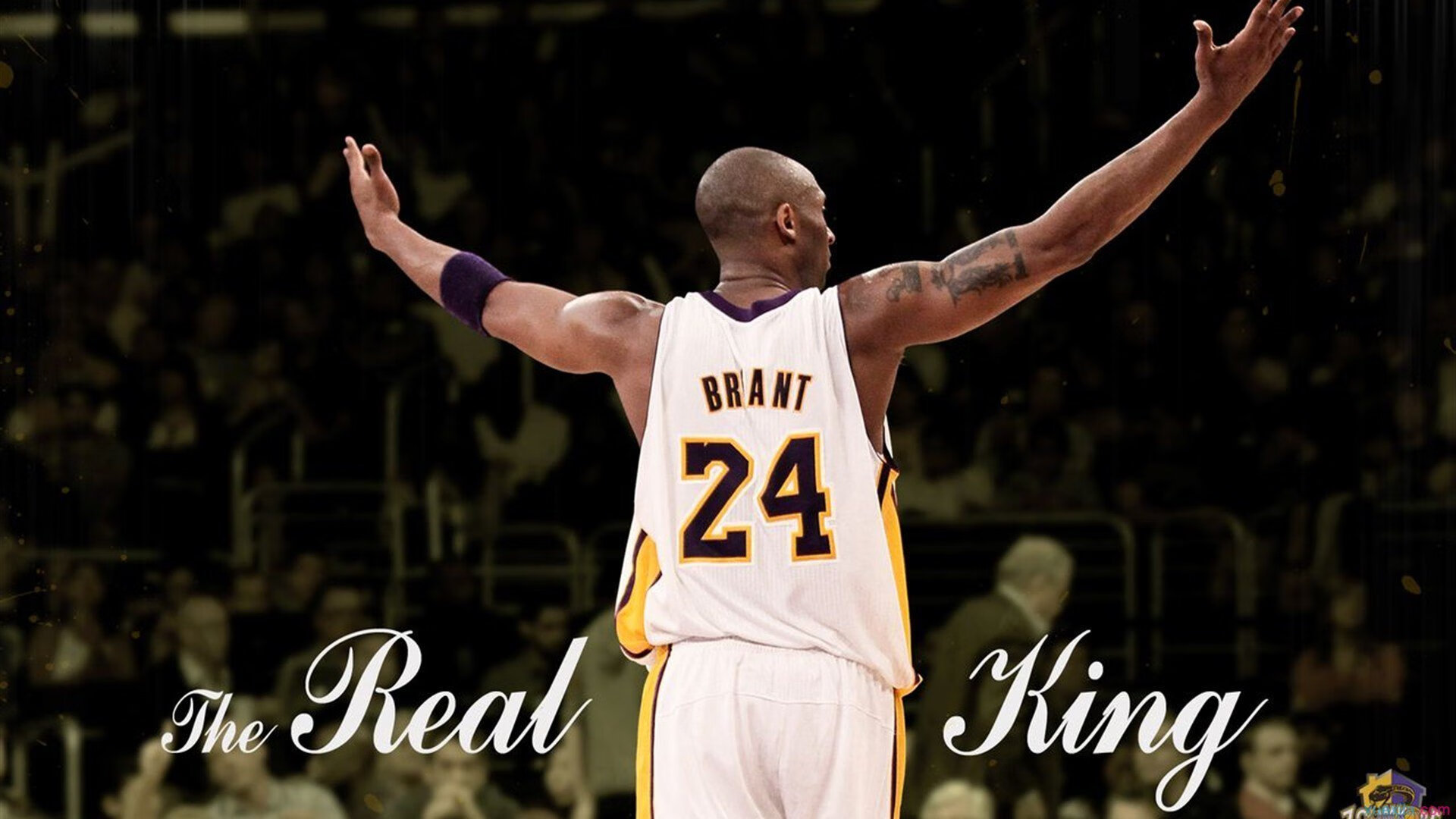 南北争锋,广东绝境逆袭,恩比德跨洋映照巨星时刻